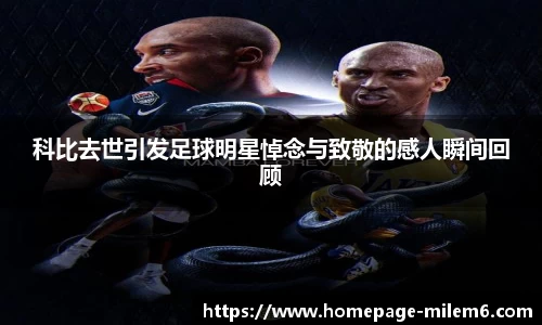 米乐m6官方网站